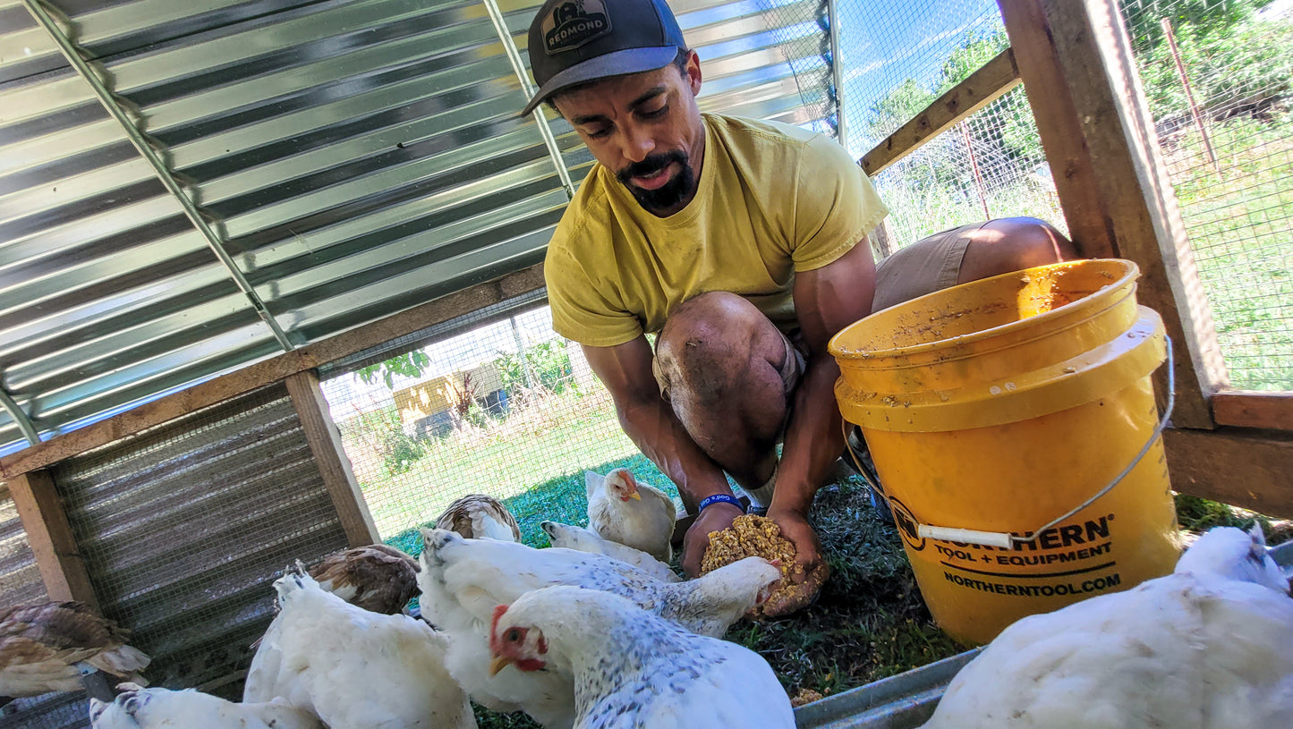 Homestead Consultation