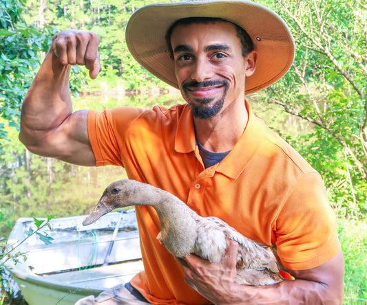 Homestead Consultation