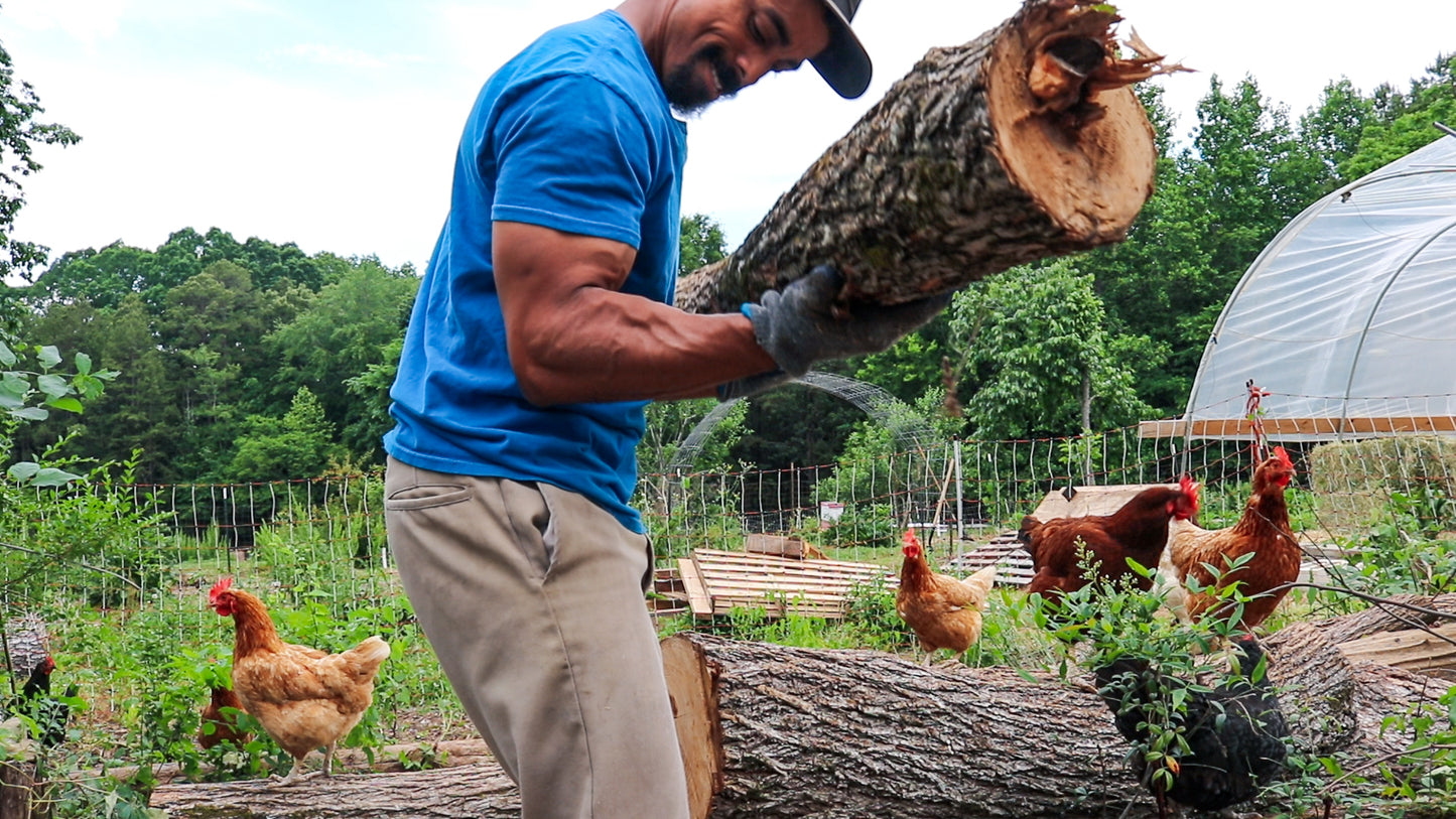 Fitness Anywhere Consultation + Personalized Workout Plan