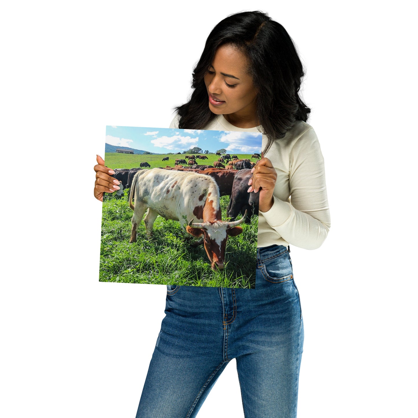 Grazing Cattle Metal prints