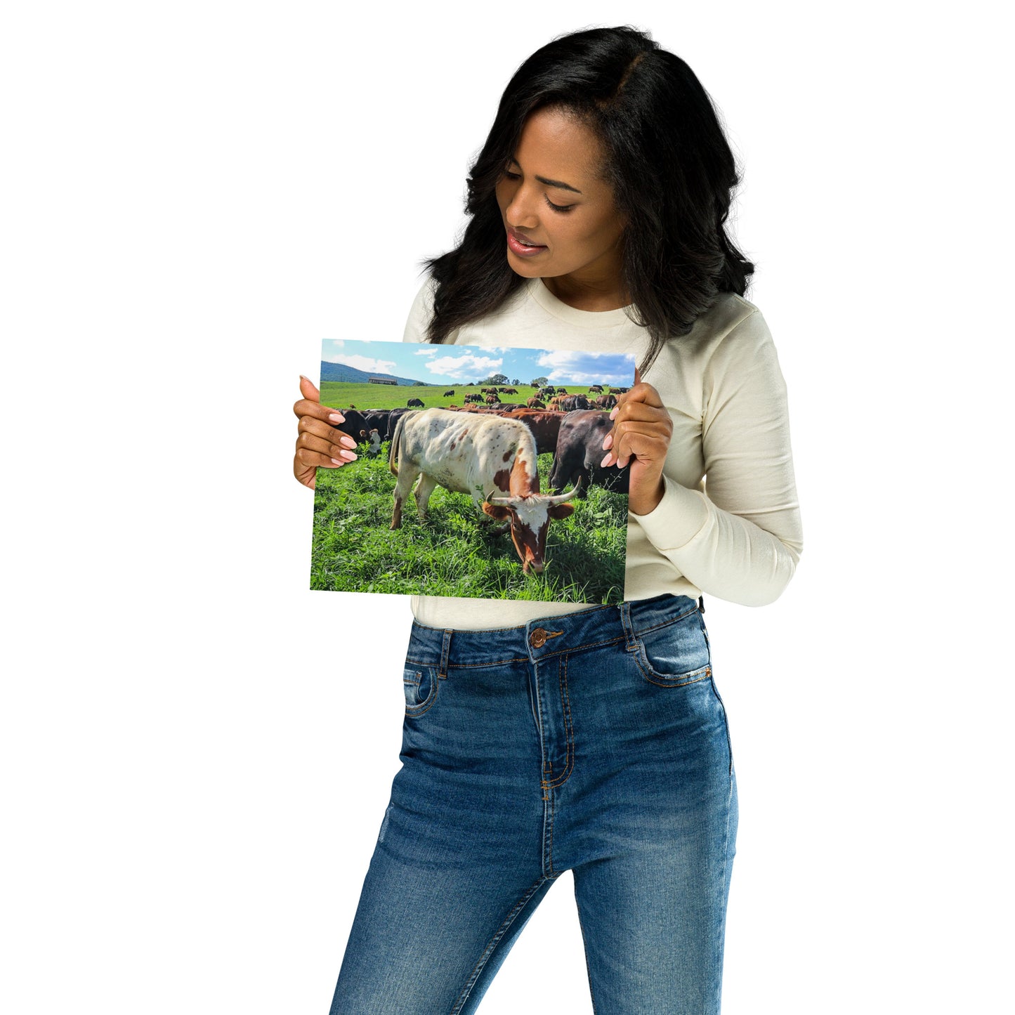 Grazing Cattle Metal prints