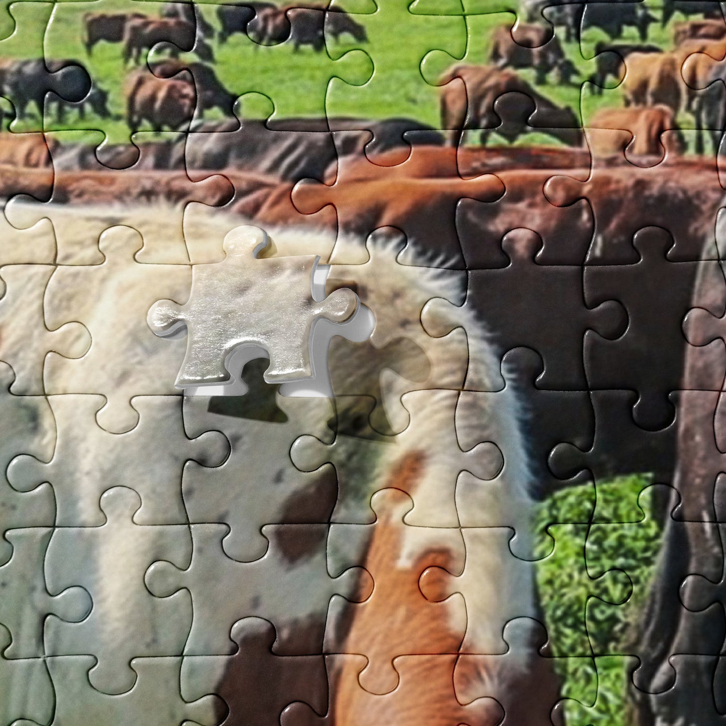 Grazing Cattle Jigsaw puzzle