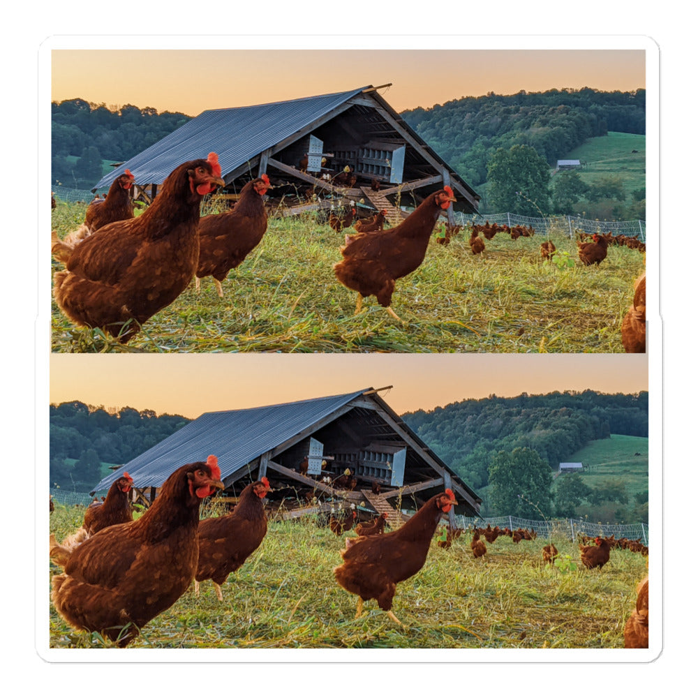 Bubble-free stickers